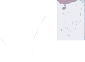 map_bg_t