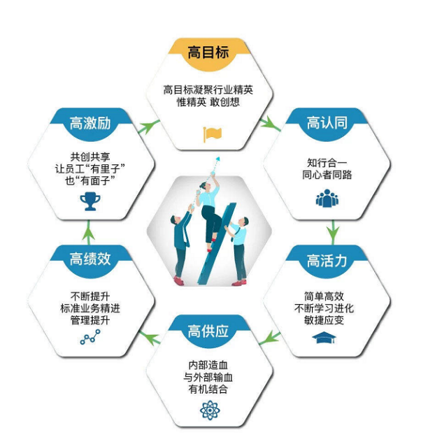 NO钱包官方网站 - 博出异常人生