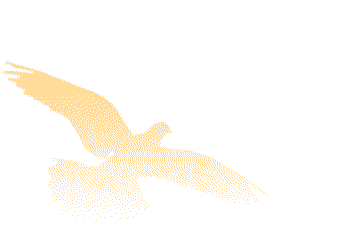 20220706095916_5909 20220706095916_5909