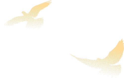20220706095916_6534 20220706095916_6534
