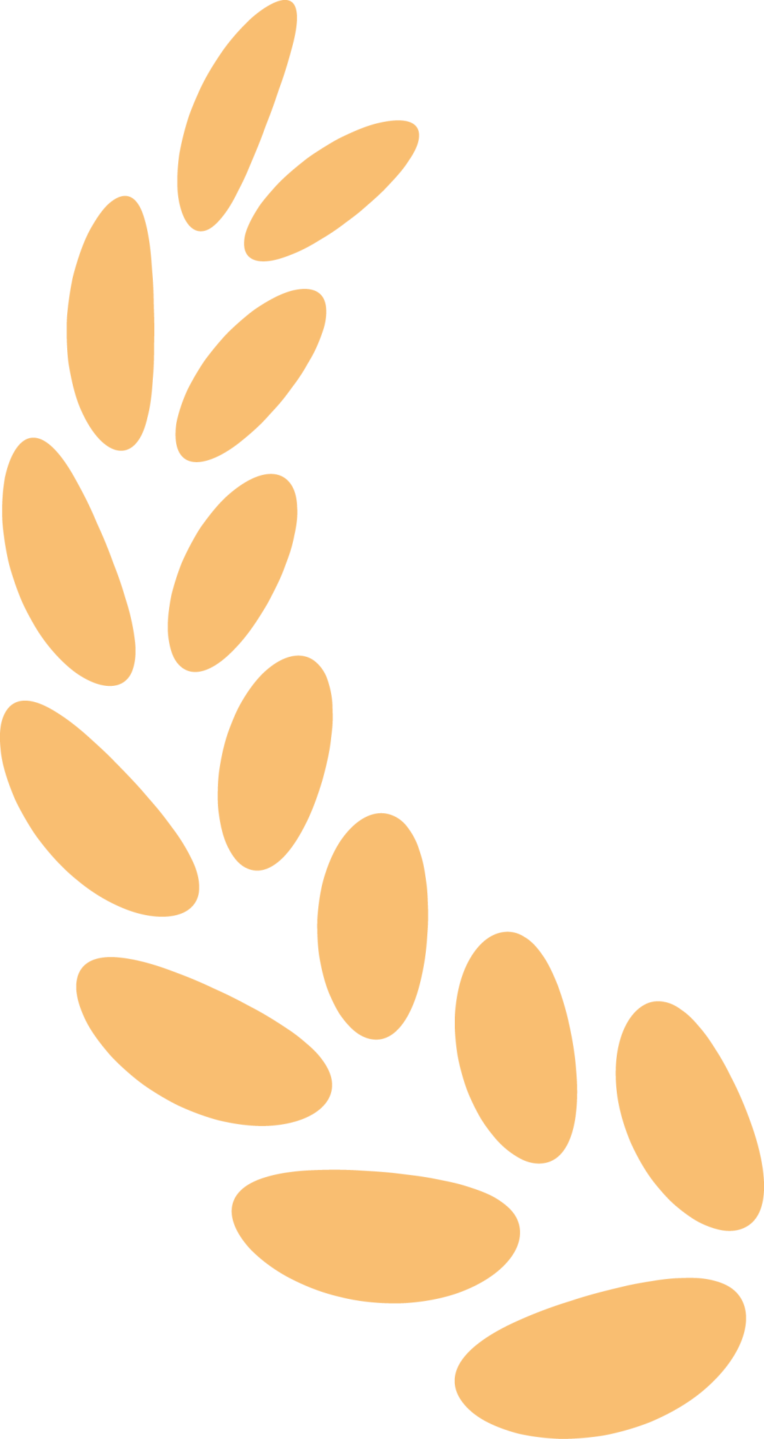 20220706095920_8089 20220706095920_8089